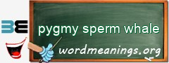 WordMeaning blackboard for pygmy sperm whale